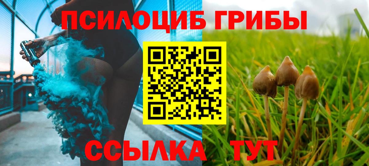 даркнет сайт  Вход с VPN  Железноводск  Галлюциногенные грибы прущие грибы  Псилоцибиновые грибы GOLDEN TEACHER 